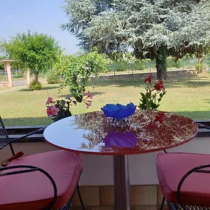 https://il-cedro-argentato.hotelinveneto.com