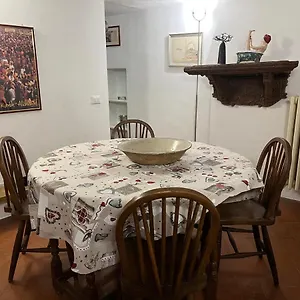 Apartment Pasha 